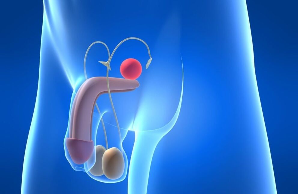 Ang mga sakit sa reproductive system mahimong hinungdan sa pagkunhod sa potency sa mga lalaki